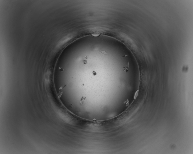 X0000101470071200807141401