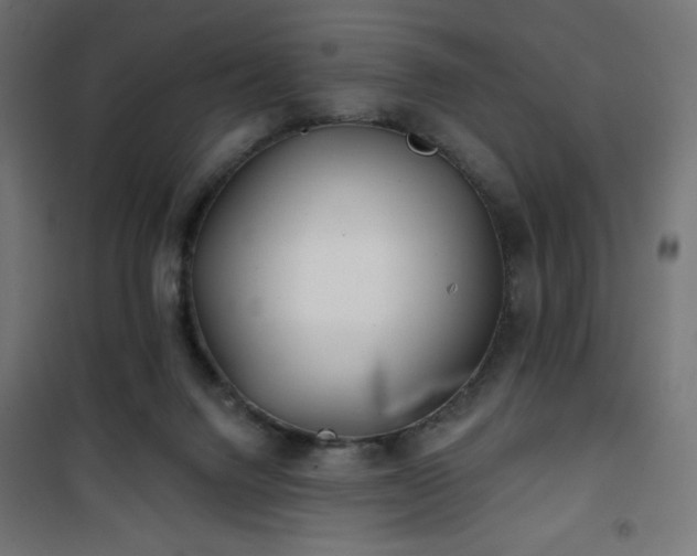 X0000101470072200807141401