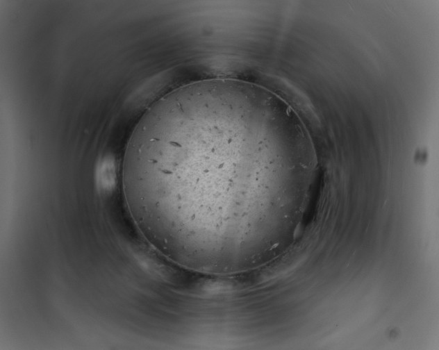 X0000101470075200807141401