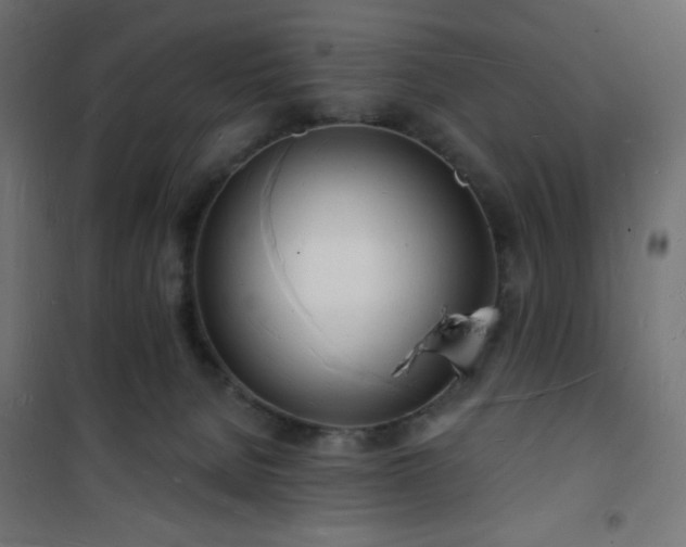 X0000101470080200807141401