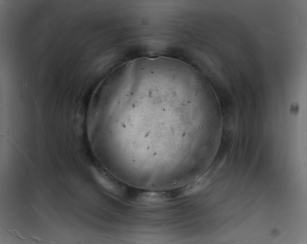X0000101470082200807141401