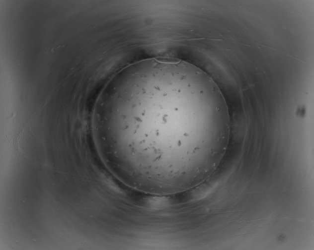 X0000101470085200807141401