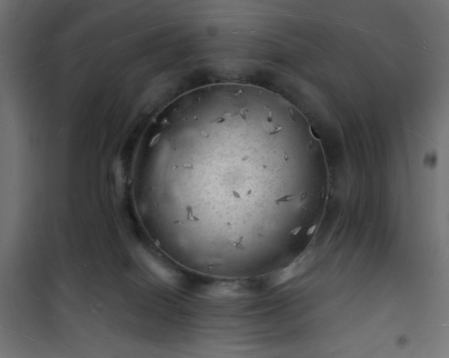 X0000101470086200807141401