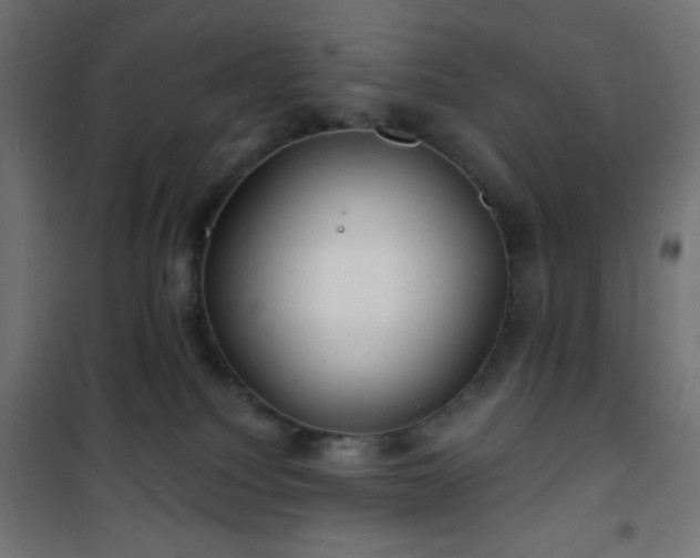 X0000101470088200807141401