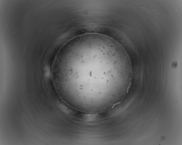 X0000101470089200807141401