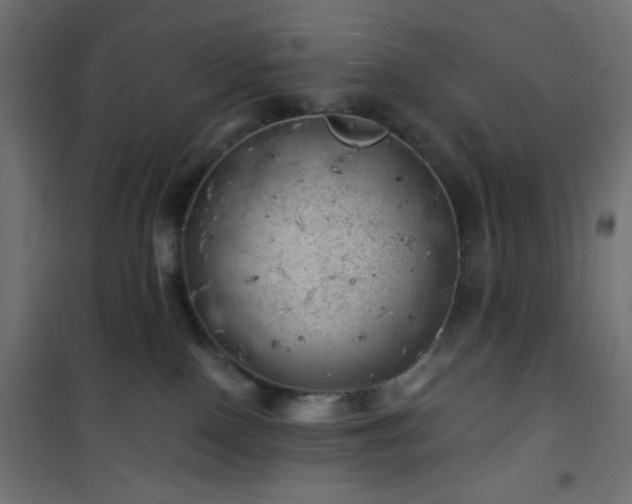 X0000101470090200807141401