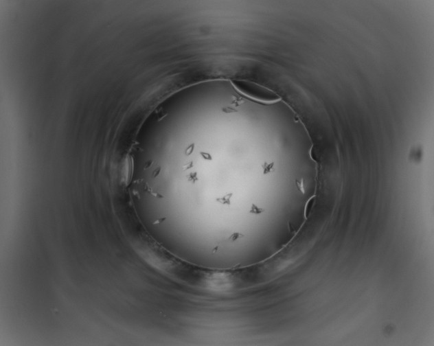 X0000101470091200807141401