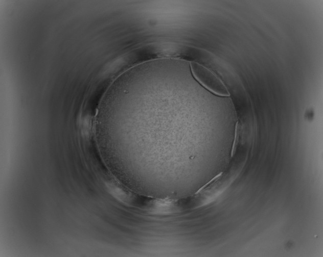 X0000101470093200807141401