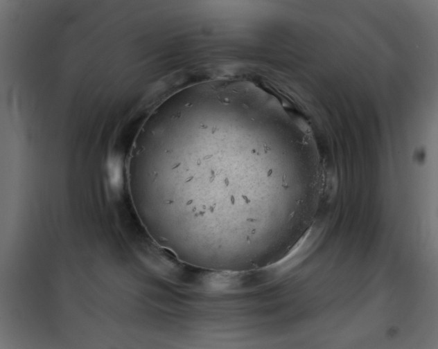 X0000101470094200807141401