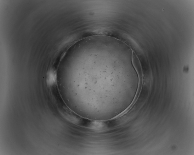 X0000101470095200807141401
