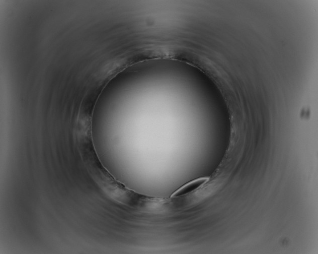 X0000101470096200807141401