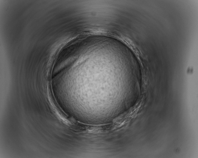 X0000101470097200807141401