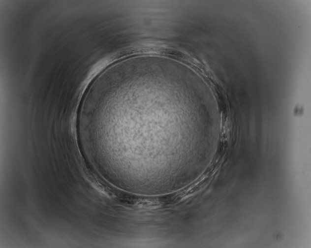 X0000101470099200807141401