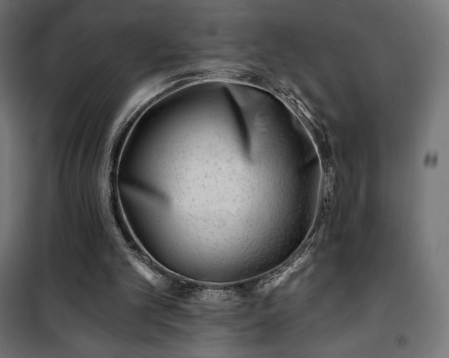 X0000101470101200807141401