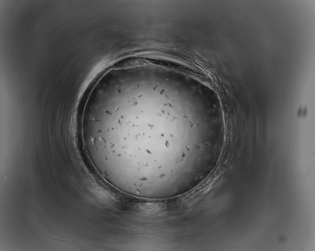 X0000101470102200807141401