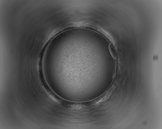 X0000101470105200807141400