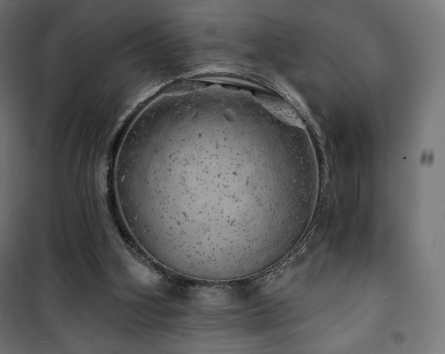X0000101470106200807141400