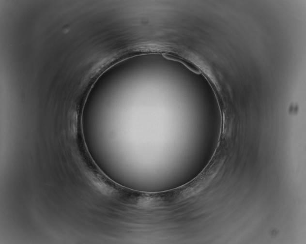 X0000101470109200807141400