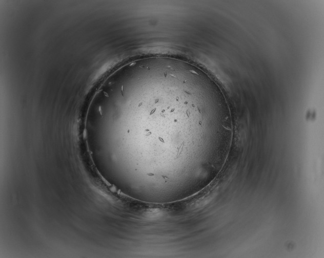 X0000101470111200807141400