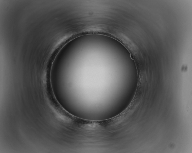 X0000101470112200807141400