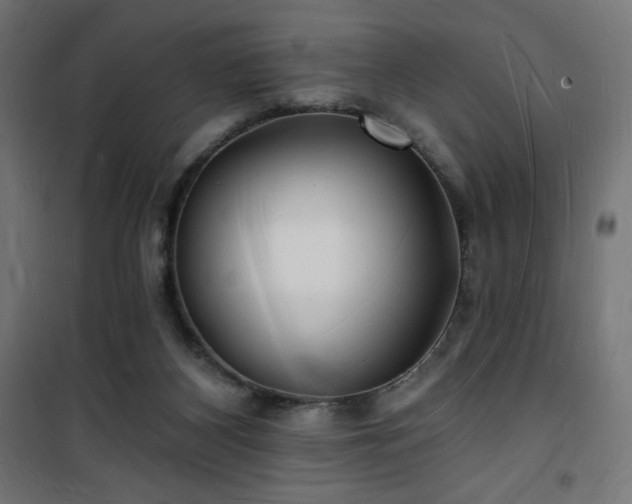 X0000101470116200807141400