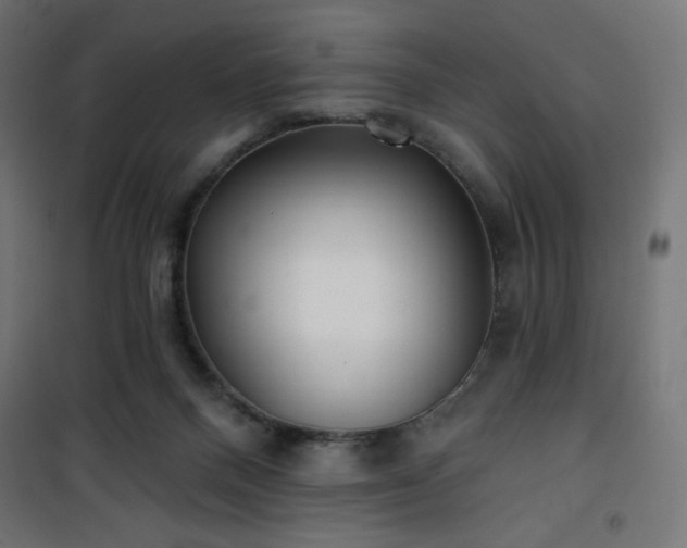 X0000101470120200807141400