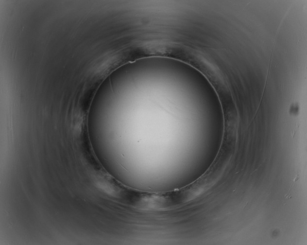 X0000101470125200807141400