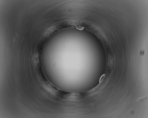 X0000101470128200807141400