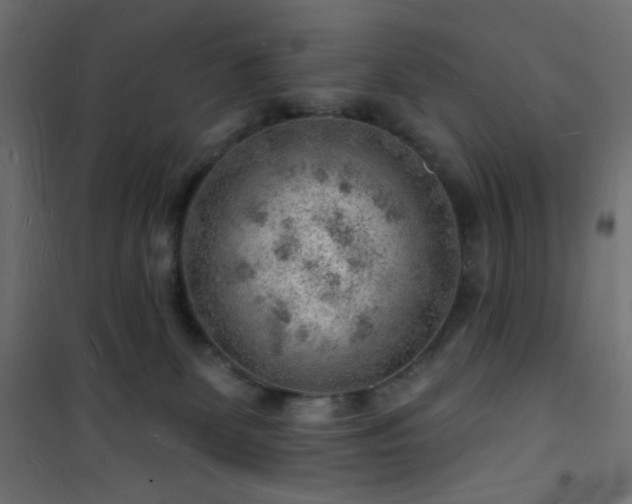 X0000101470131200807141400