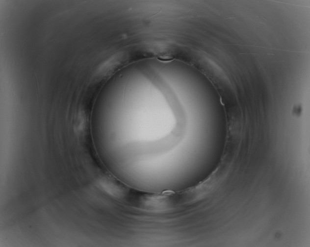 X0000101470132200807141400