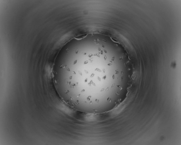 X0000101470142200807141400