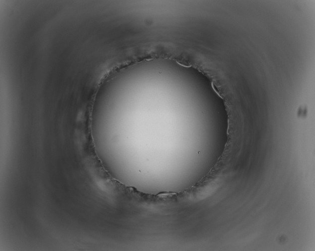 X0000101470144200807141400