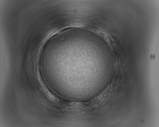 X0000101470145200807141359