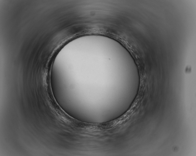 X0000101470146200807141359