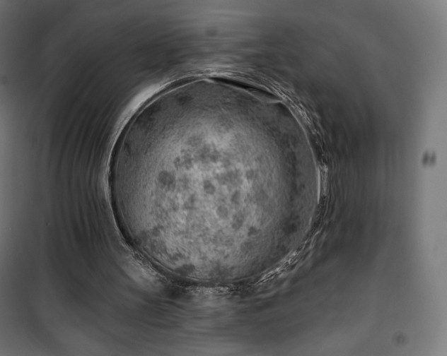 X0000101470147200807141359