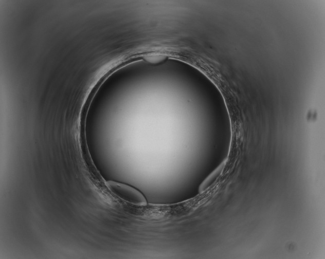 X0000101470148200807141359