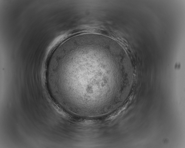 X0000101470149200807141359