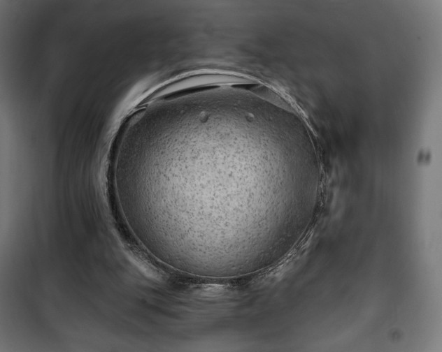 X0000101470151200807141359