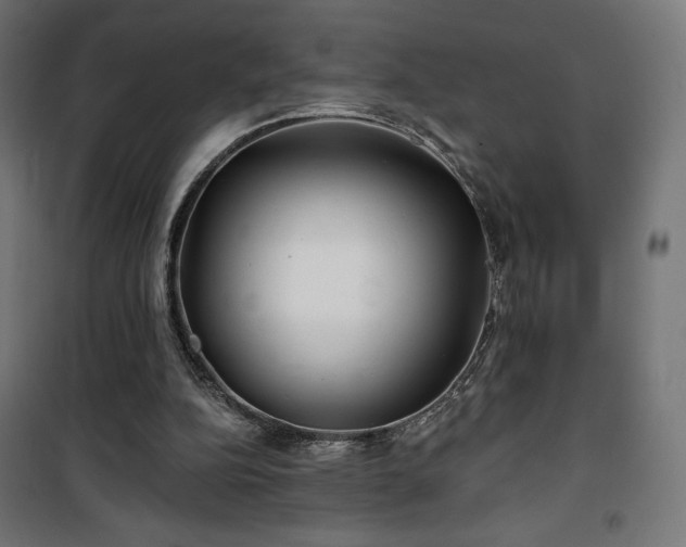 X0000101470152200807141359