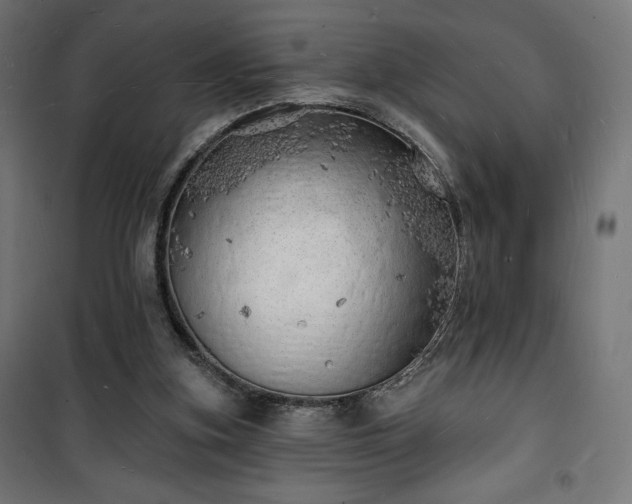 X0000101470155200807141359