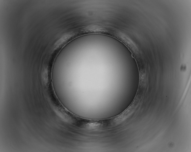 X0000101470158200807141359