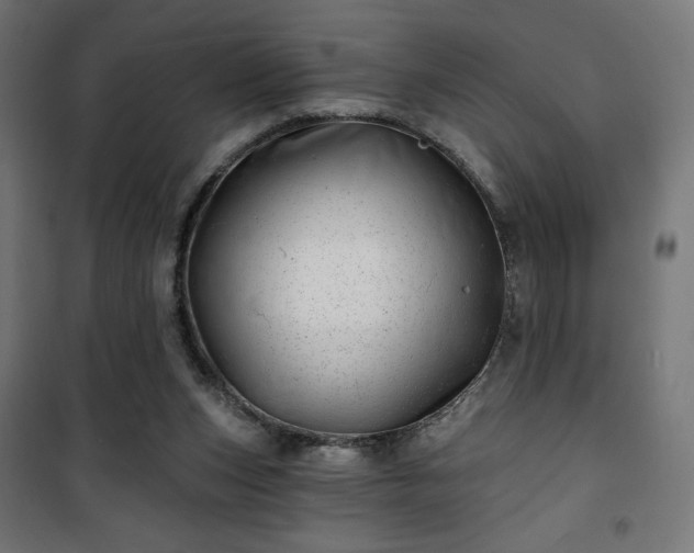 X0000101470159200807141359