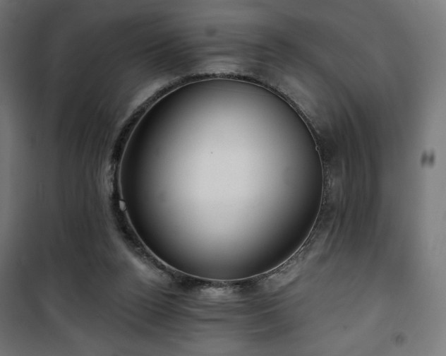 X0000101470160200807141359