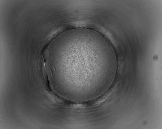 X0000101470161200807141359