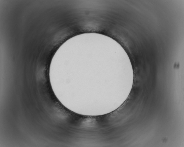 X0000101470162200807141359