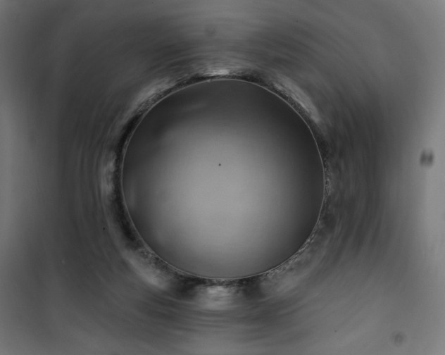 X0000101470163200807141359