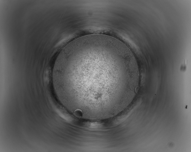 X0000101470165200807141359