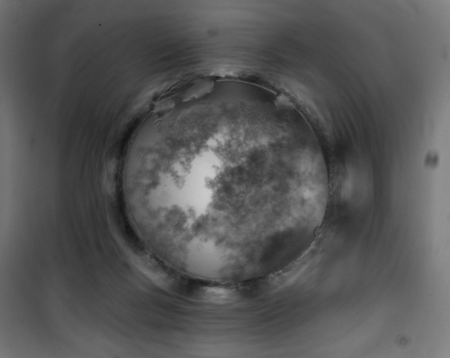 X0000101470167200807141359