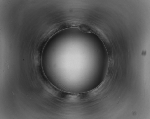 X0000101470170200807141359