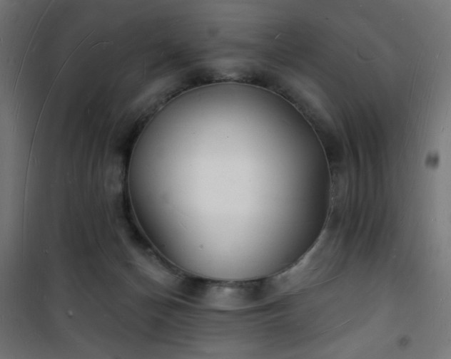 X0000101470174200807141359